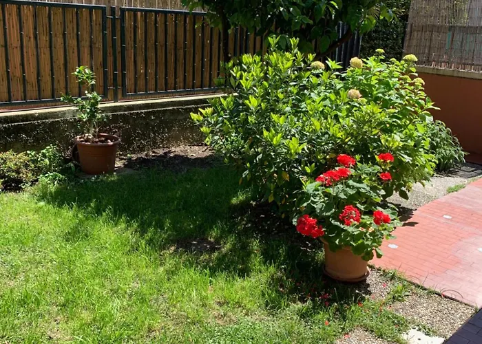 Il Giardino Dei Limoni