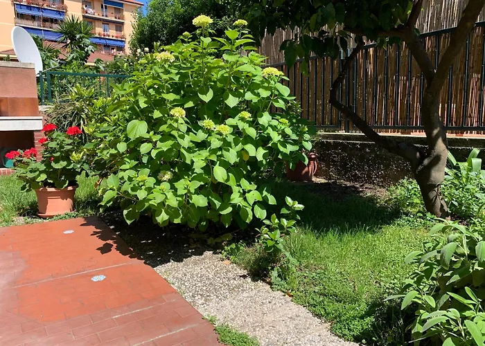 Il Giardino Dei Limoni