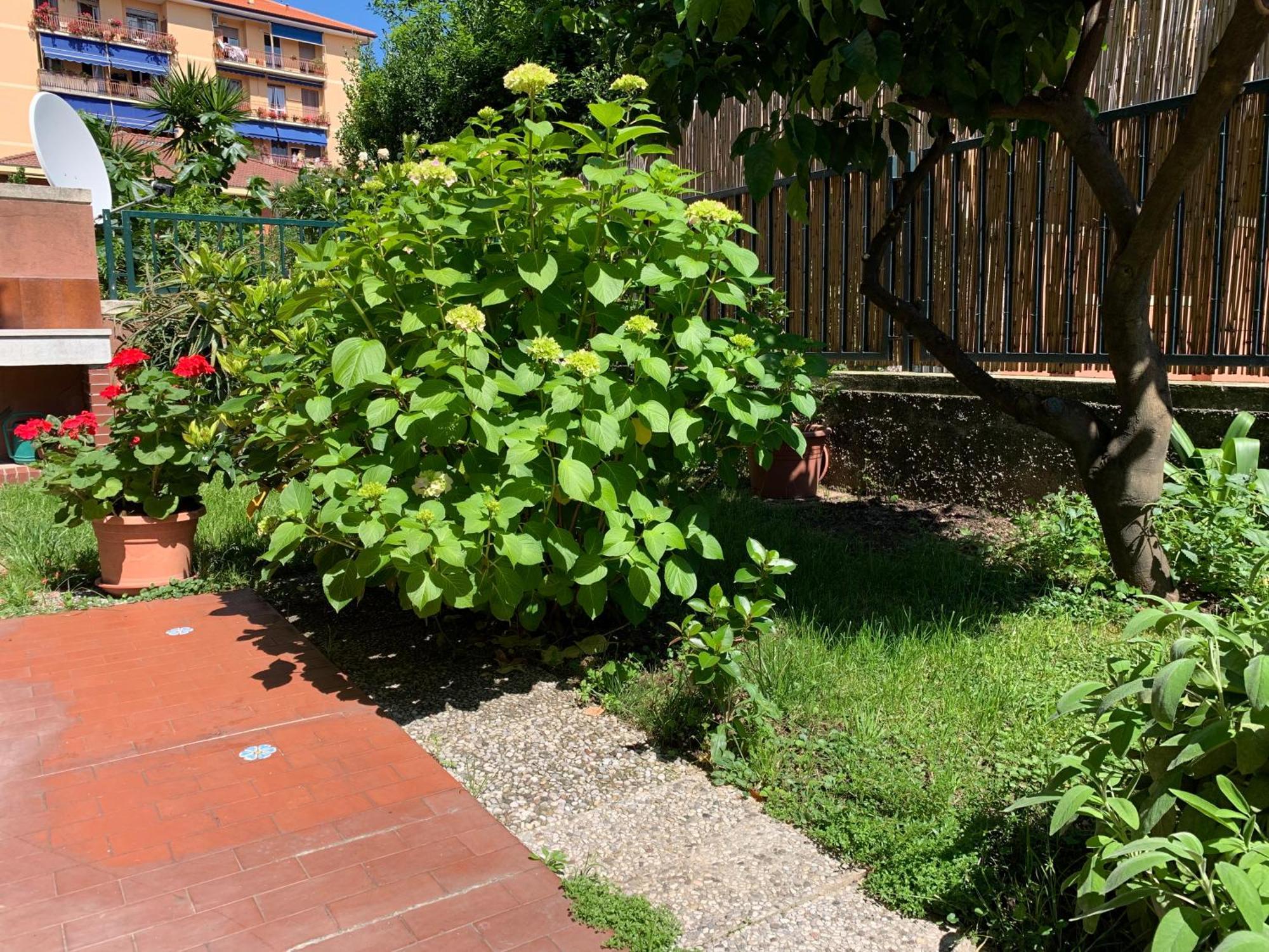 Il Giardino Dei Limoni Chiavari