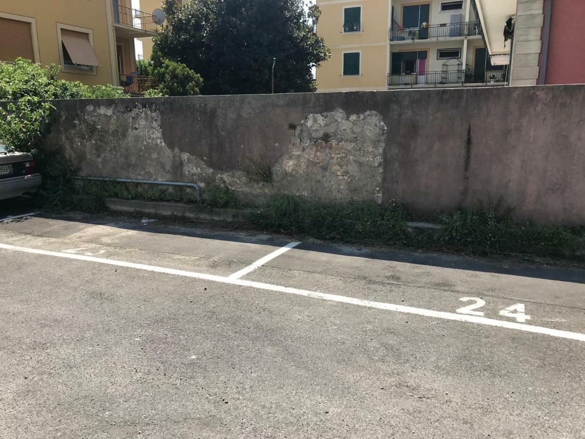 Il Giardino Dei Limoni *